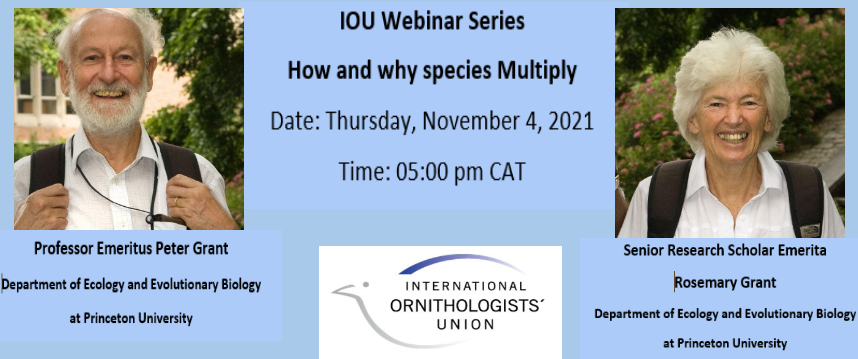 webinar two banner.png